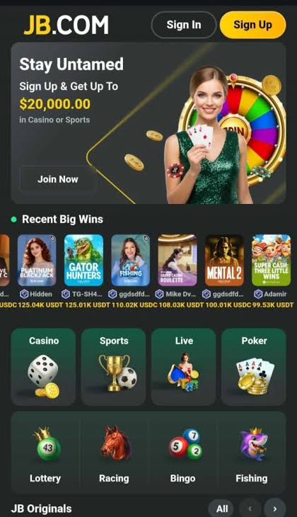 Explore the Thrills of JB Casino Platform